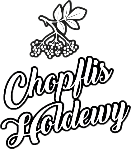 Logo von Choplis Holdewy